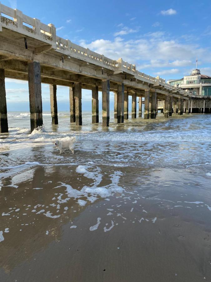Liberty * Blankenberge